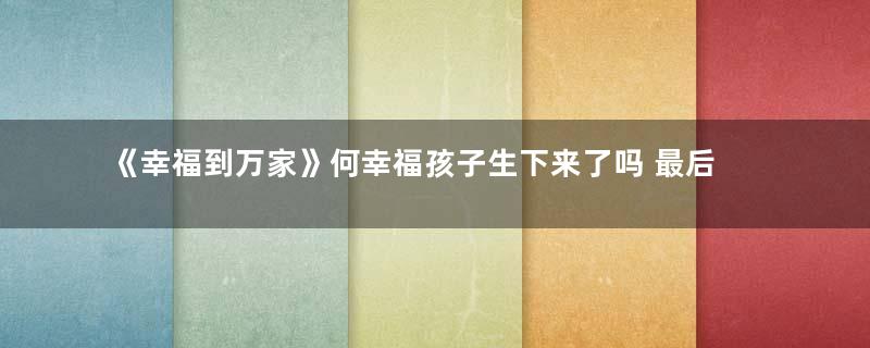 《幸福到万家》何幸福孩子生下来了吗 最后怎么样了